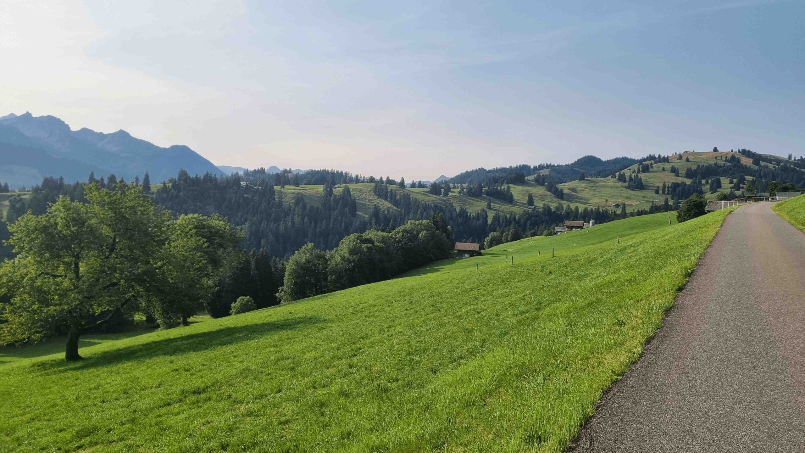 2025-Schweiz-Tour1 (3)