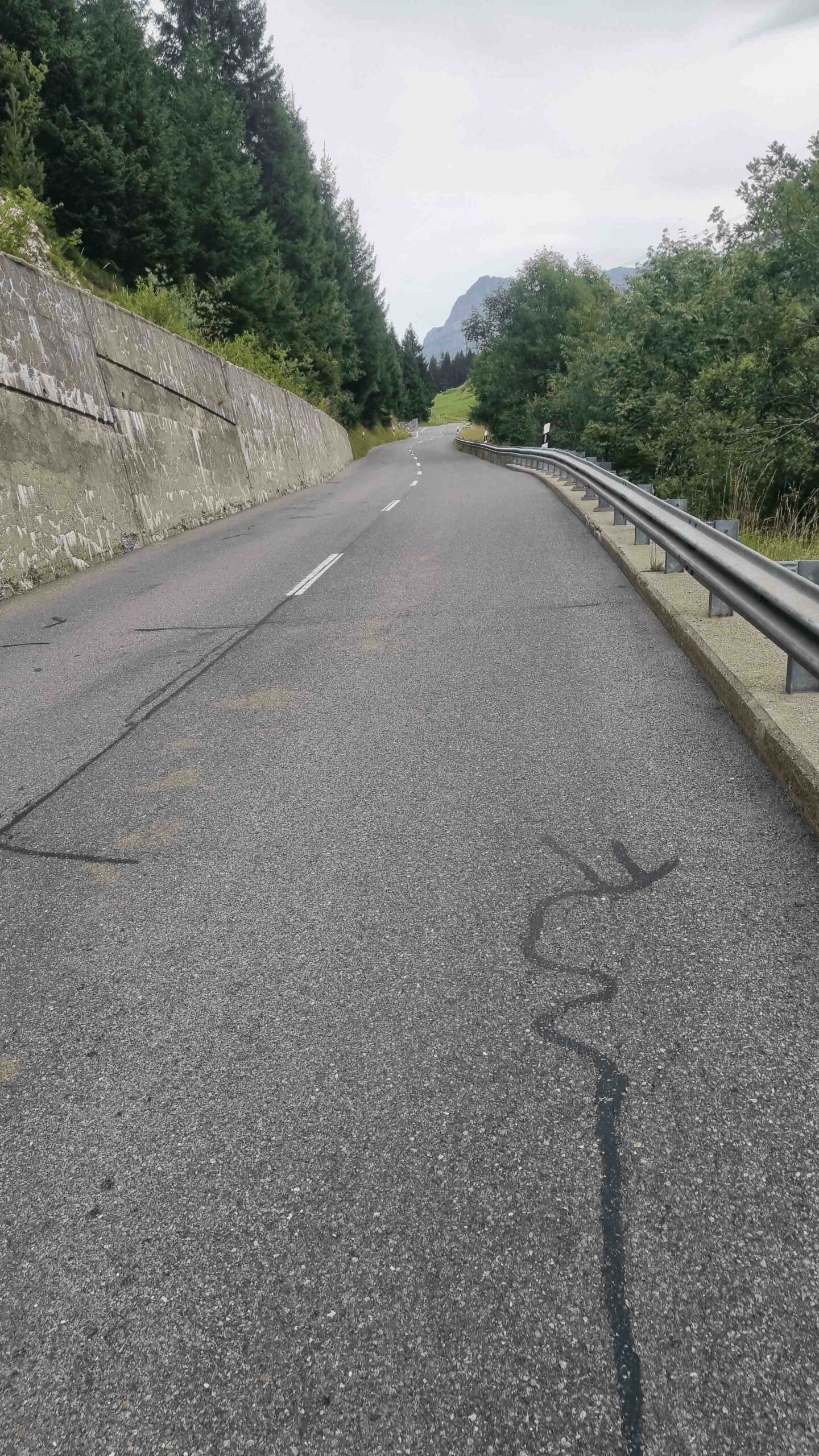 2025-Schweiz-Tour1 (31)