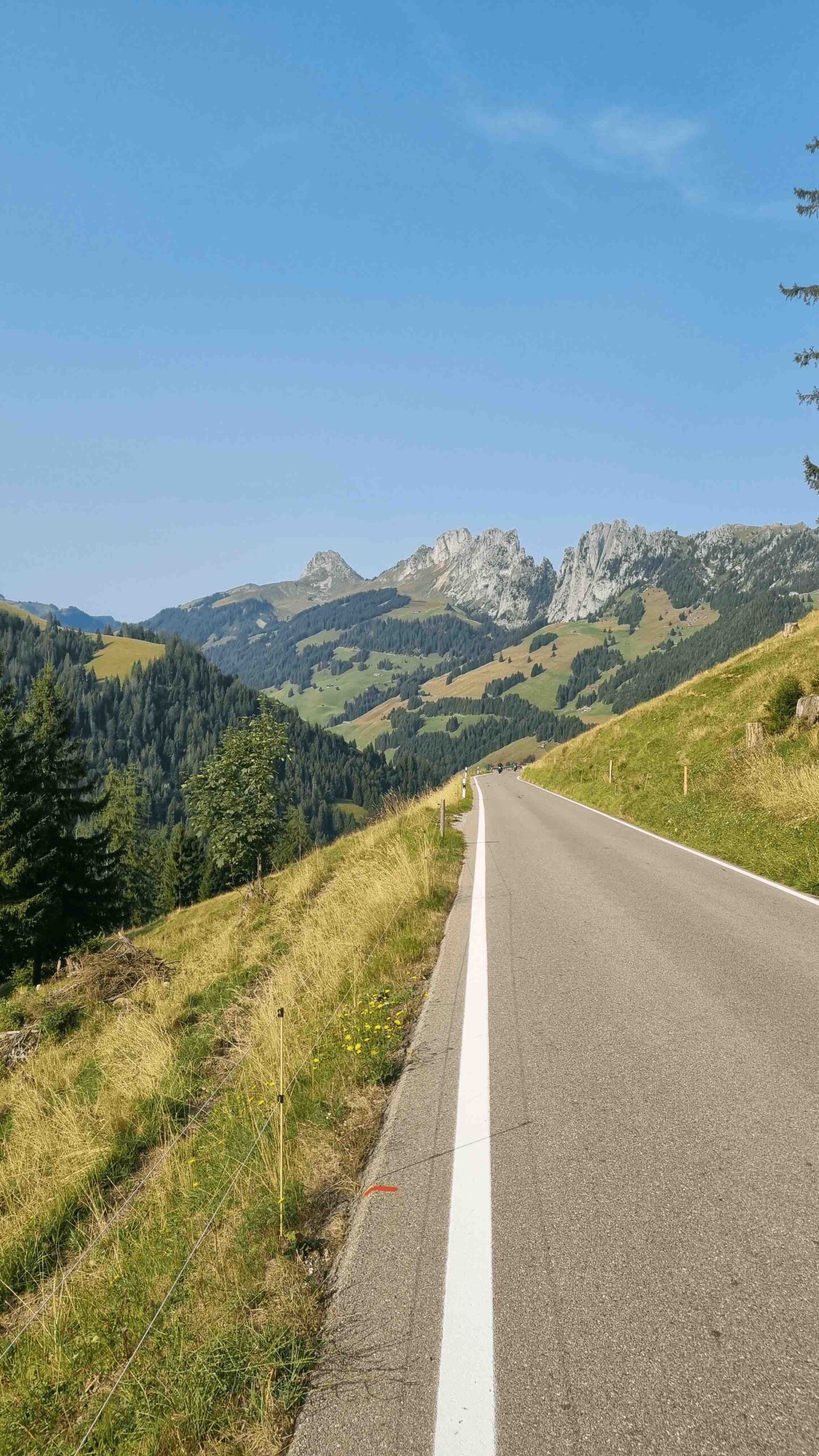 2025-Schweiz-Tour1 (7)