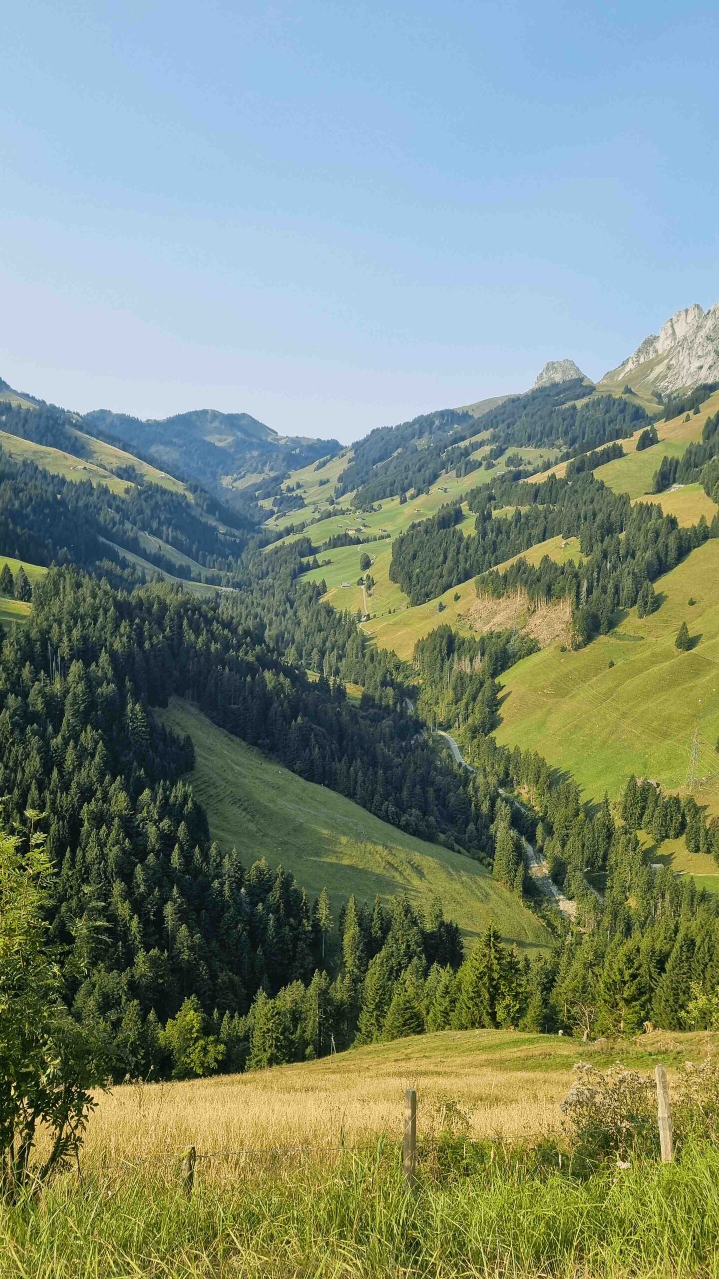 2025-Schweiz-Tour1 (8)