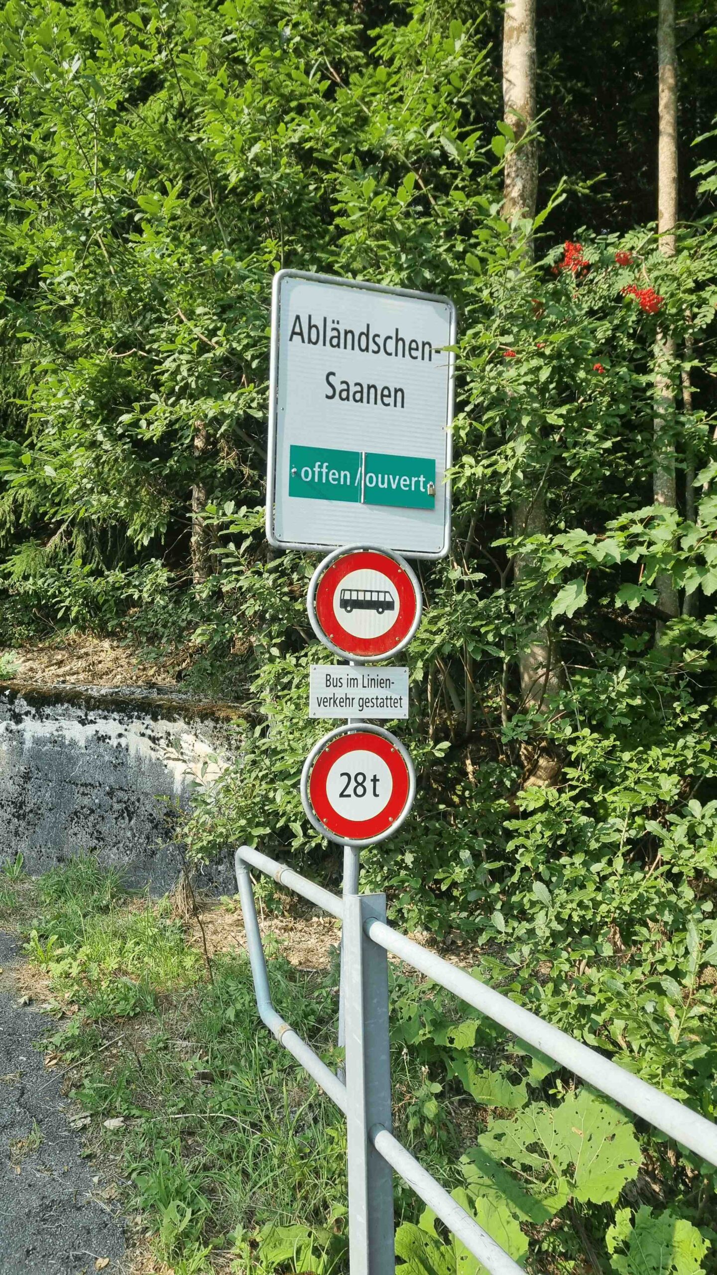 2025-Schweiz-Tour1 (9)