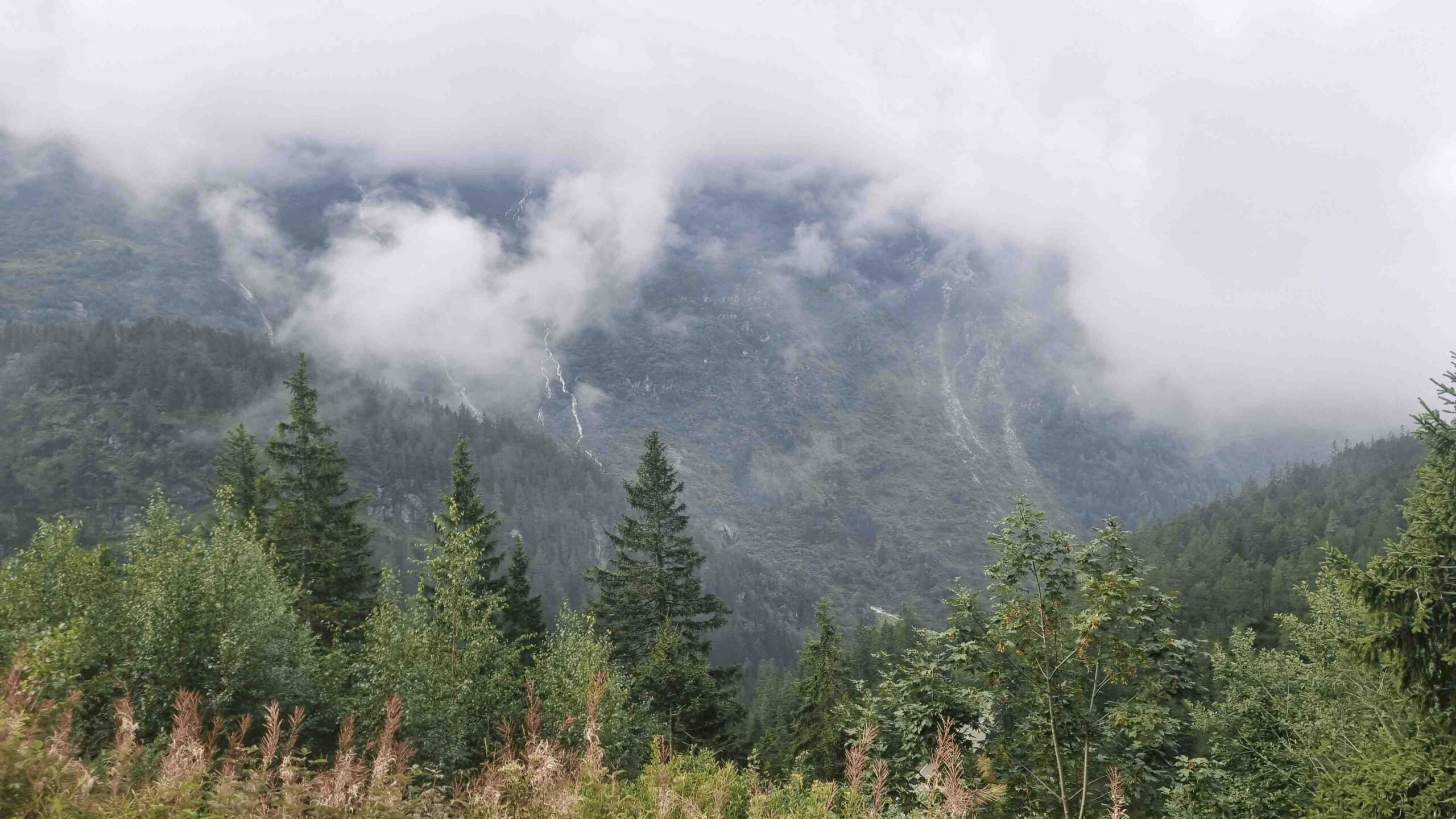 2025-Schweiz-Tour2 (18)