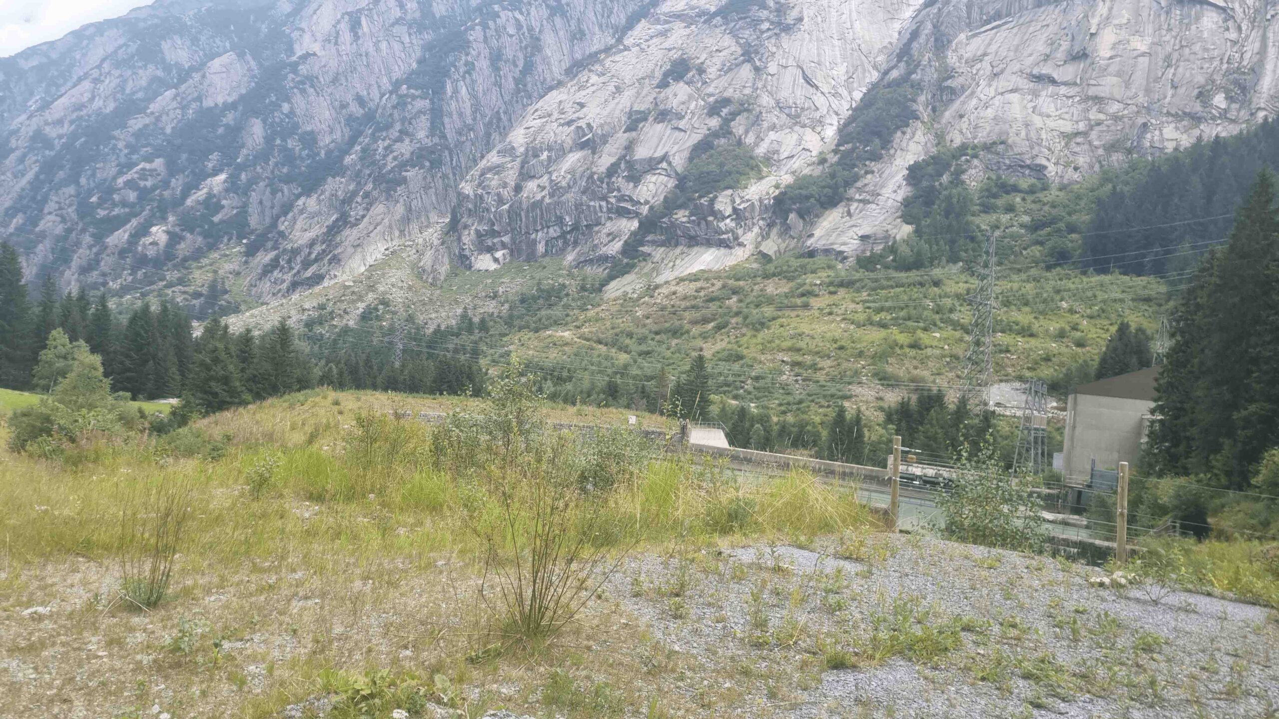 2025-Schweiz-Tour2 (91)