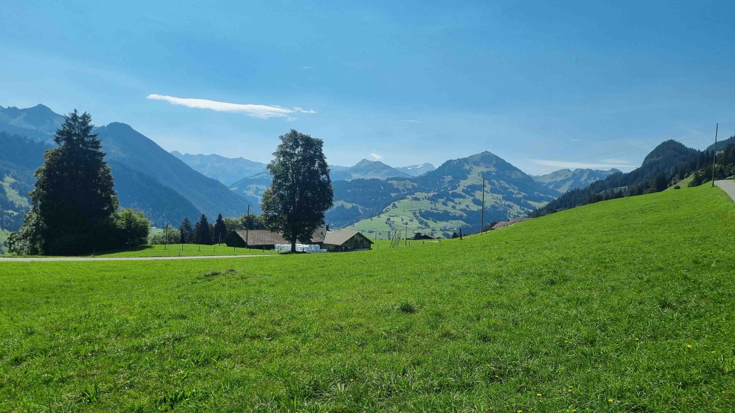 2025-Schweiz-Tour3 (10)