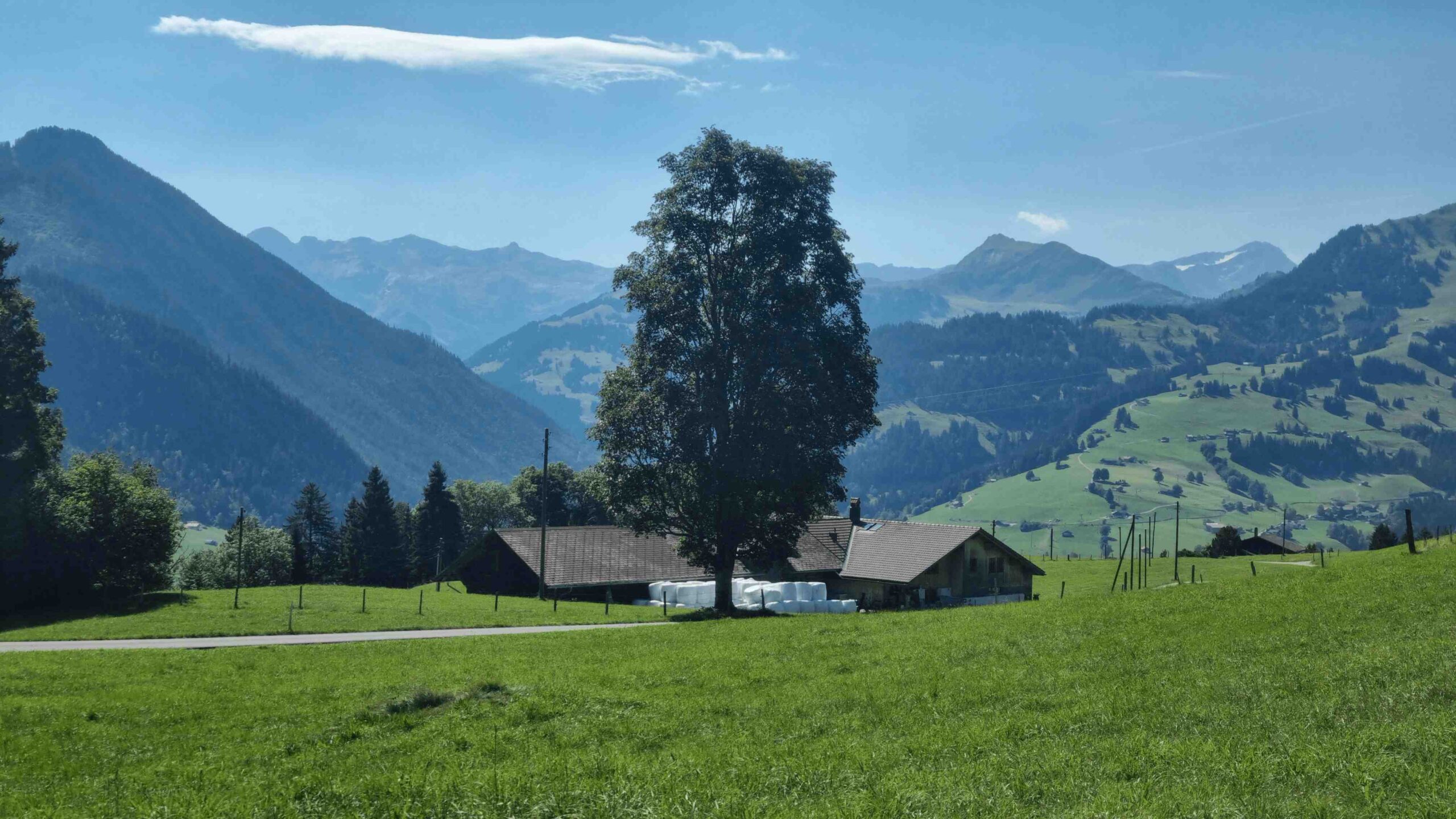 2025-Schweiz-Tour3 (11)