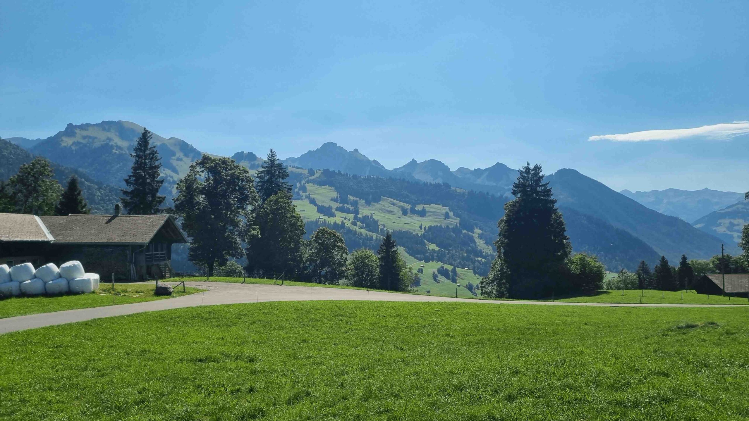 2025-Schweiz-Tour3 (12)