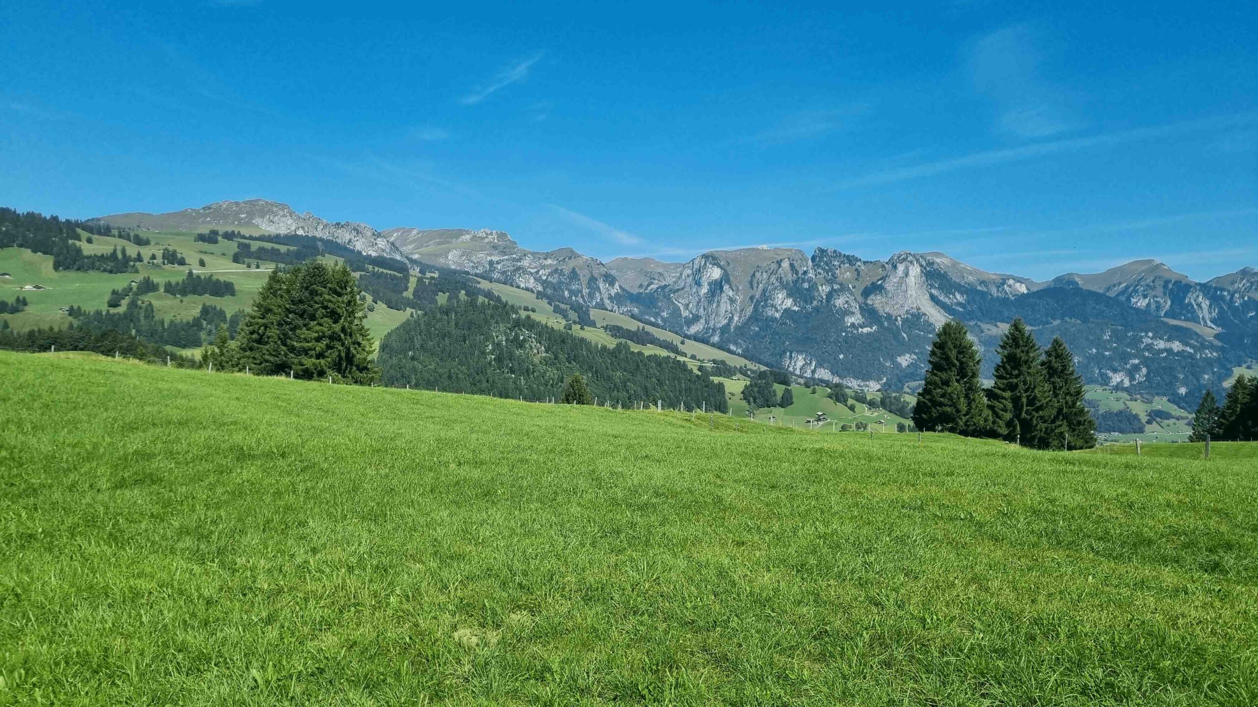 2025-Schweiz-Tour3 (9)