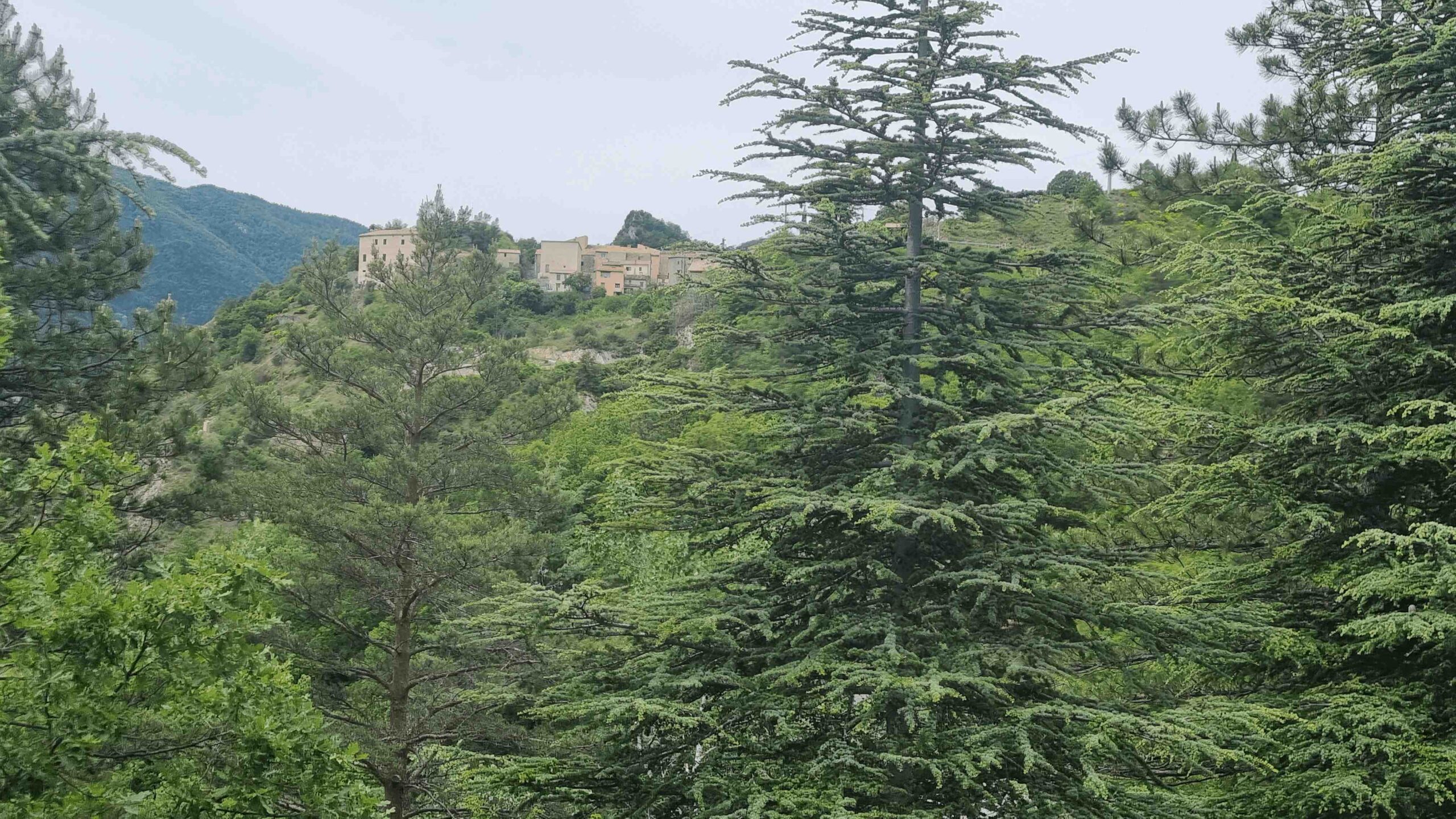2026-Nizza-Tour4 (27)