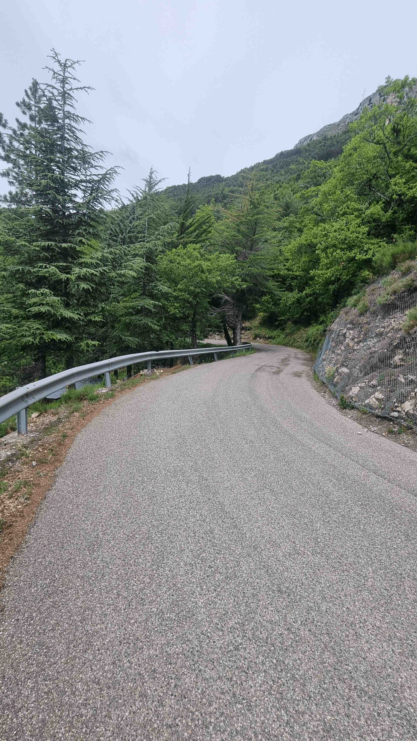 2026-Nizza-Tour4 (28)