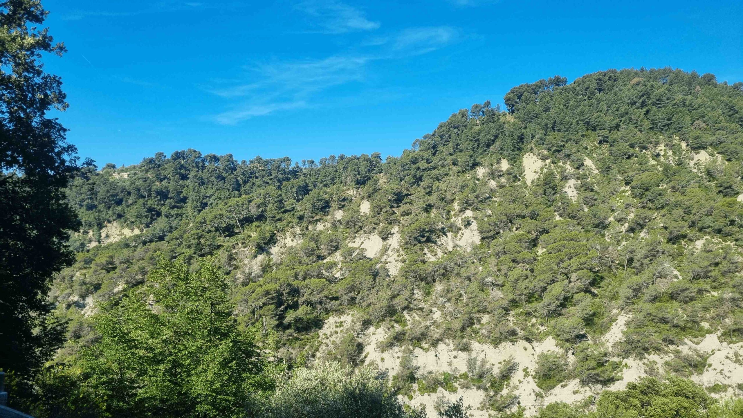 2026-Nizza-Tour6 (6)