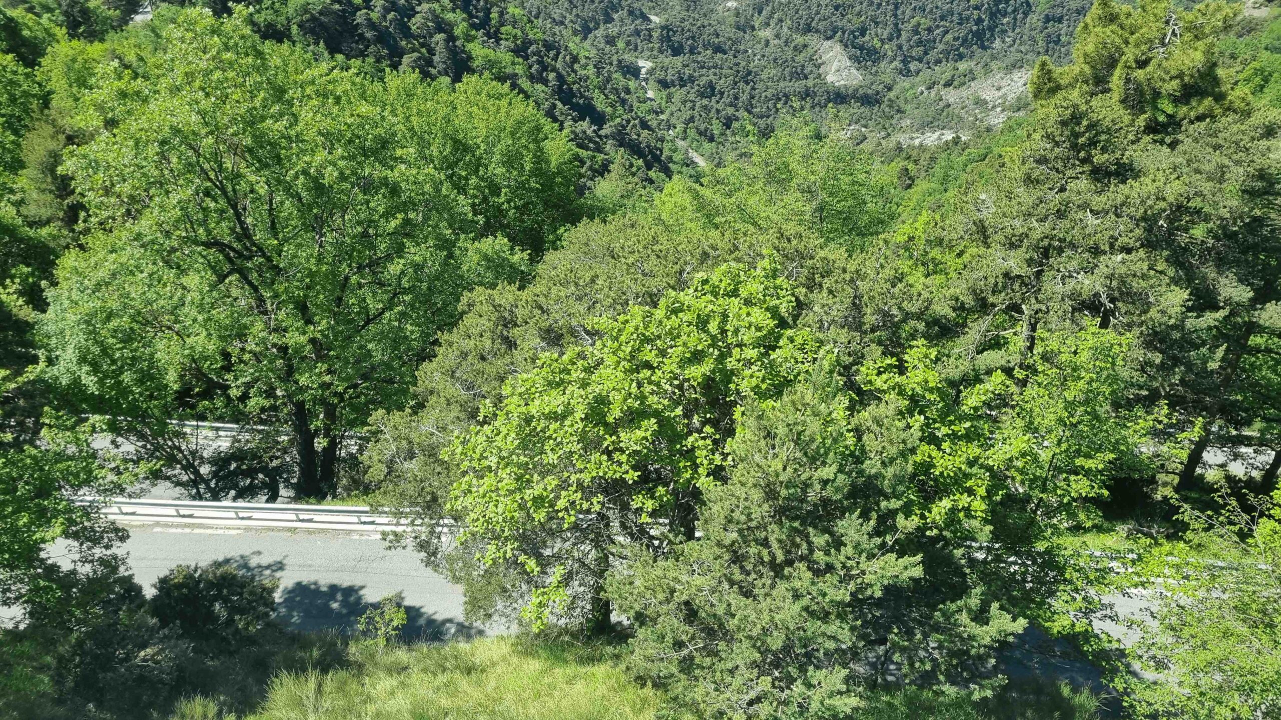 2026-Nizza-Tour7 (21)
