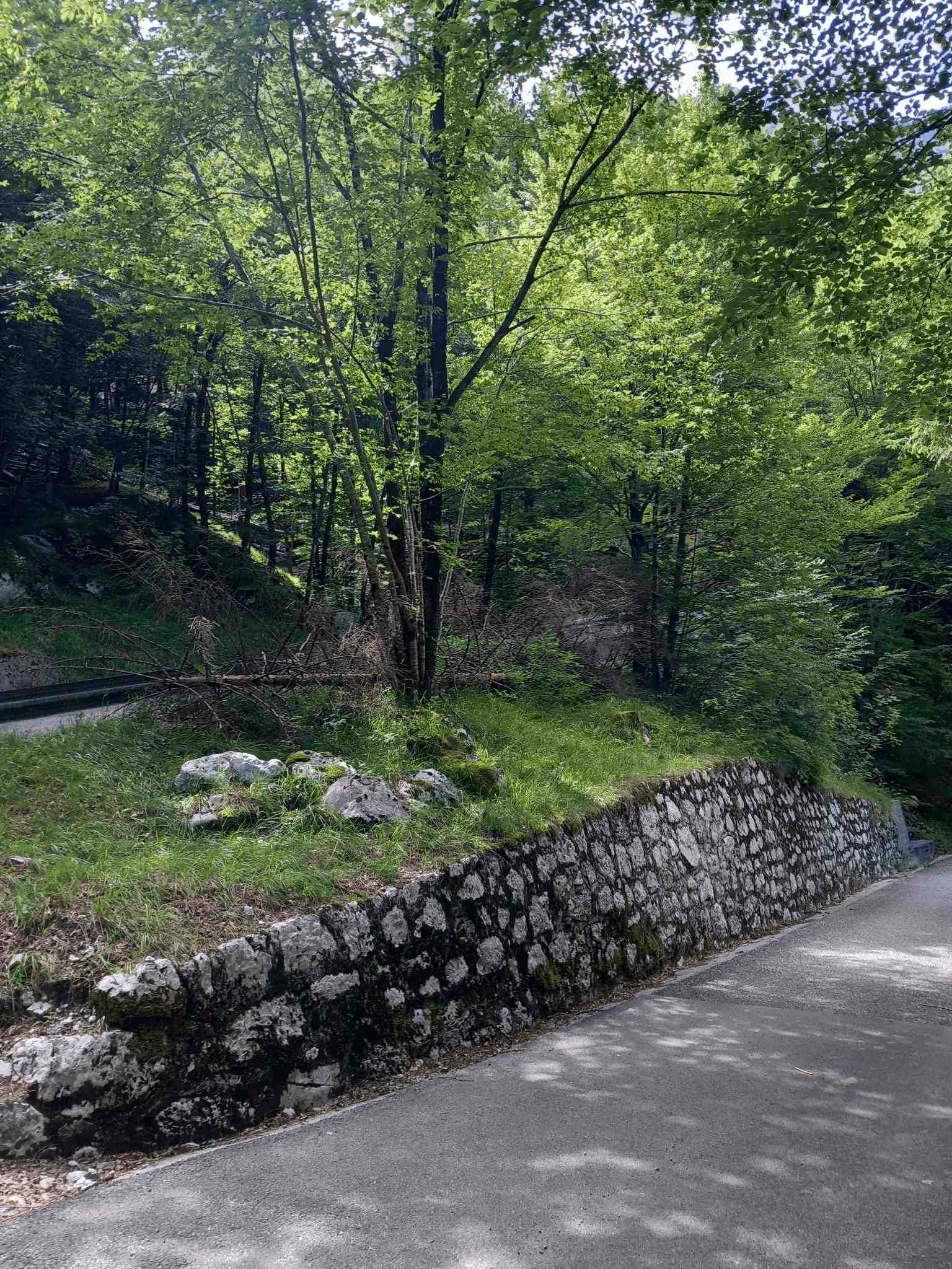 2026-Slowenien-Tag1 (53)